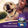 Zignature Limited Ingredient Trout & Salmon Meal Formula Dry Dog Food (25-lb)
