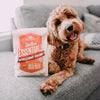 Stella & Chewy's Stella's Essentials Grass-Fed Beef & Ancient Grains Recipe Dry Dog Food (3-lb)
