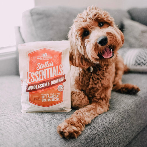 Stella & Chewy's Stella's Essentials Grass-Fed Beef & Ancient Grains Recipe Dry Dog Food (3-lb)