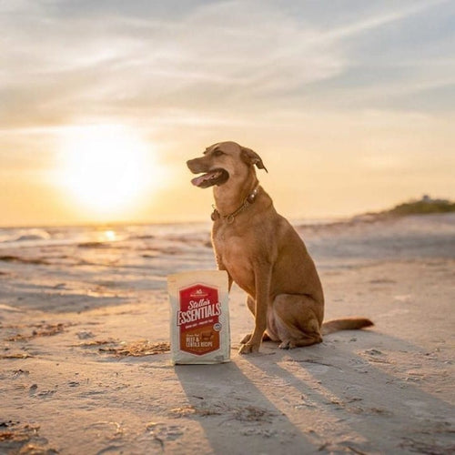 Stella & Chewy's Stella's Essentials High Plains Red Recipe with Grass-Fed Beef Dry Dog Food (25-lb)
