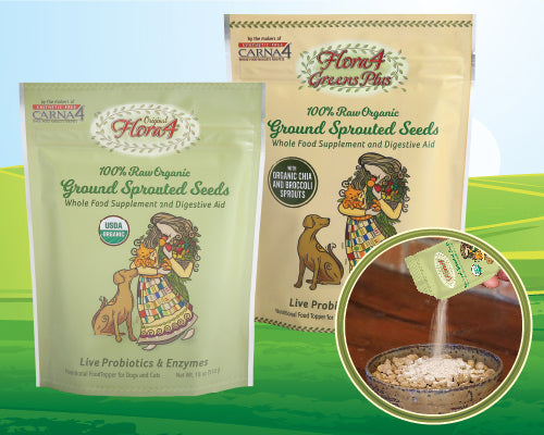 Carna4® Flora4® Organic Sprouted Seeds Supplement Raw Food Topper (1.5 oz single pack / Greens Plus)