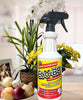 Eco-88 Pet Stain & Odor Remover (32-oz)
