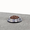 Primal Pet Foods Feline Raw Frozen Pronto (Rabbit 1 Lb)