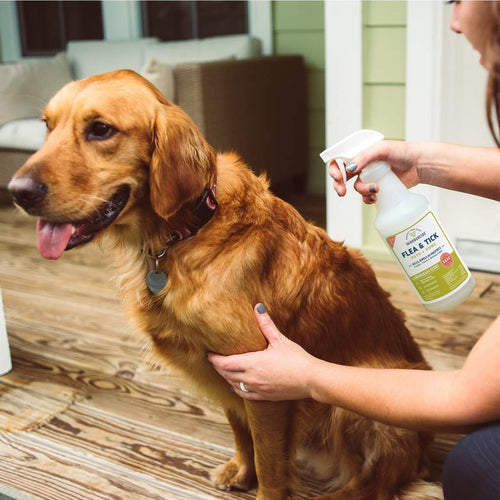 Wondercide Flea & Tick Spray for Pets + Home (ROSEMARY 16 oz)