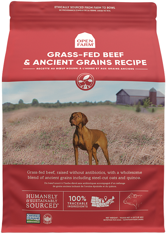 Open Farm Grass-Fed Beef & Ancient Grains Dry Dog Food (4-lbs)