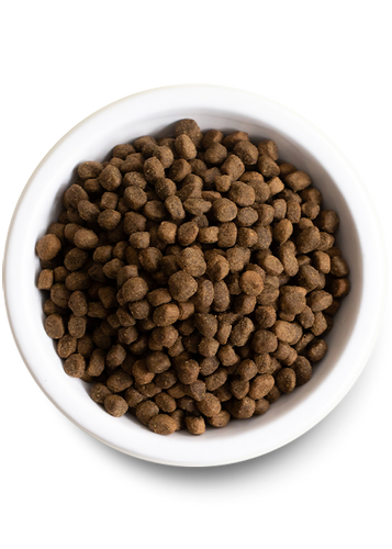 Open Farm Grass-Fed Beef Dry Dog Food (4 LB)
