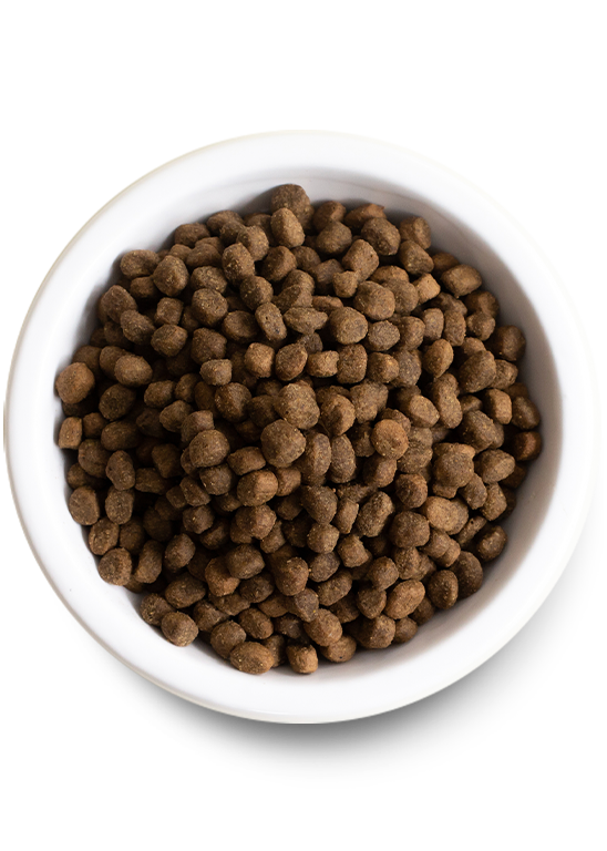 Open Farm Grass-Fed Beef Dry Dog Food (4 LB)