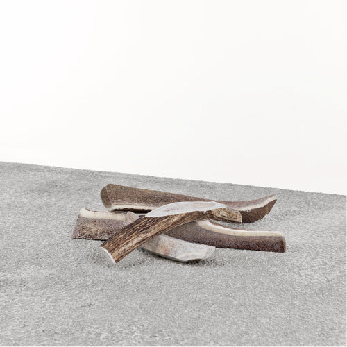Primal Stag Antler Dog Chew (Extra Large)