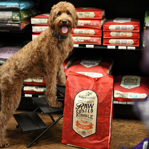 Stella & Chewy's Grass-Fed Beef Raw Coated Kibble (3.5 lb)
