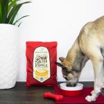 Stella & Chewy's Cage-Free Chicken Raw Coated Kibble (3.5 lb)