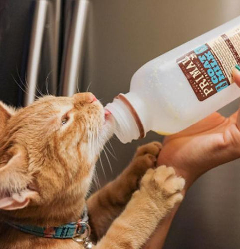 Primal Pet Foods Goat Milk Original (32 Oz)
