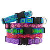 Lupine Pet Original Designs Dog Collar (1/2 Width X 10-16 Go Go Gecko)