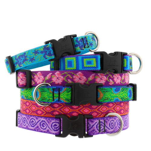 Lupine Pet Original Designs Dog Collar (1/2 Width X 10-16 Go Go Gecko)