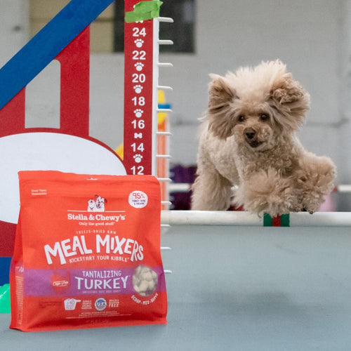 Stella & Chewy's Tantalizing Turkey Meal Mixers (3.5-oz)